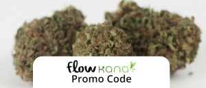 Flow Kana Promo Code: Use our Flow Kana Promo Code and read our review!