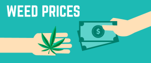 Weed Prices: Get $80 free weed from the GreenRush Online Medical Marijuana Clinic with code HAPPY80