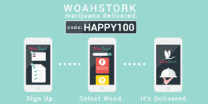 WoahStork Promo Codes earn you Woahstork referral credits