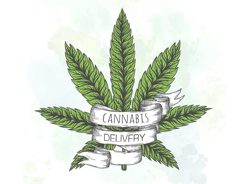 Read out ultimate guide to weed delivery to see what its all about!