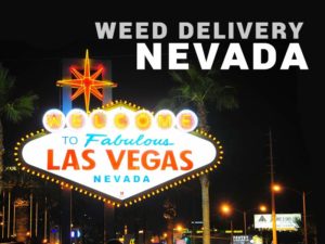 Read our article to find out about Weed Delivery Nevada and weed delivery los vegas!