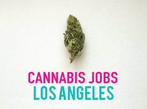 Cannabis Jobs Los Angeles: Earn as a brand ambassador (+ other Marijuana Jobs in Los Angeles)